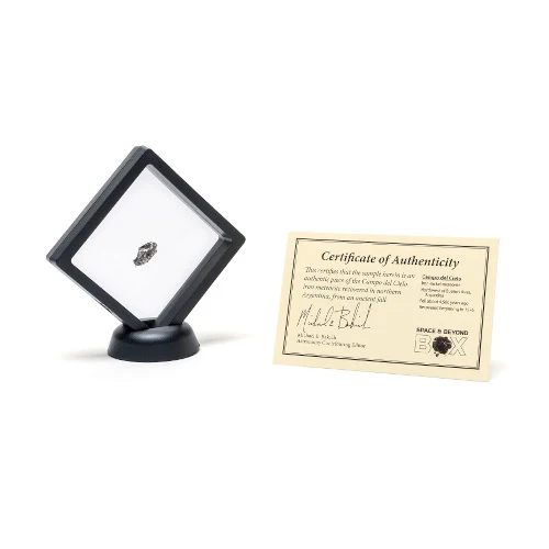 Campo del Cielo Meteorite - Image 2