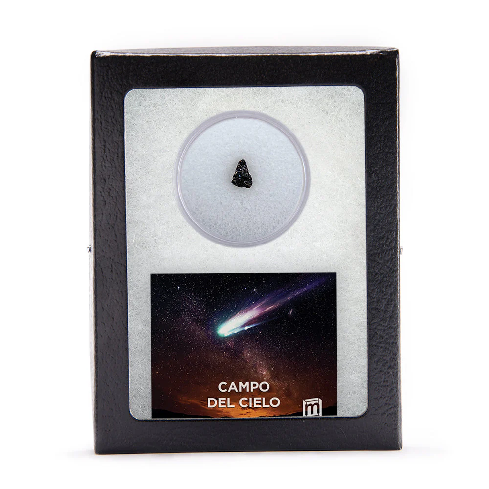 Campo del Cielo Meteorite - Riker Glass Display Case - Image 3