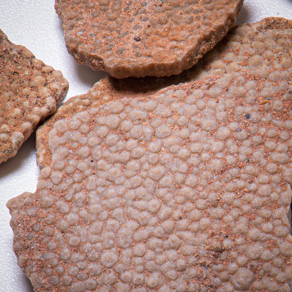 Dinosaur Eggshell - Image 2