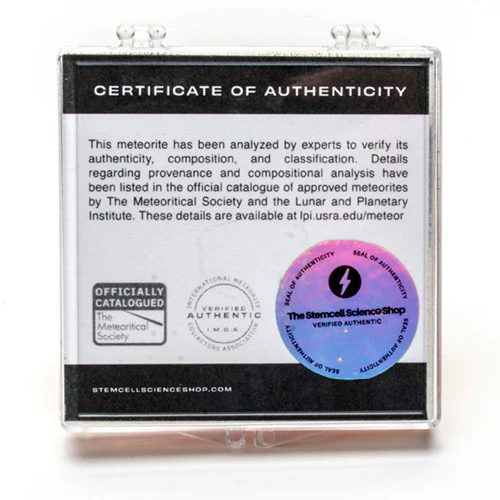 Enstatite Meteorite - .2g - Image 2