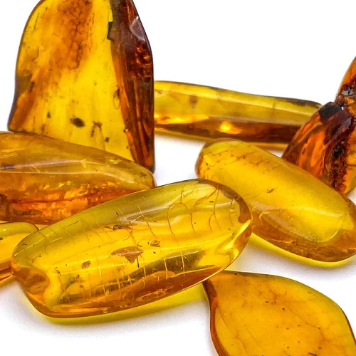 Insect in Baltic Amber - Image 3