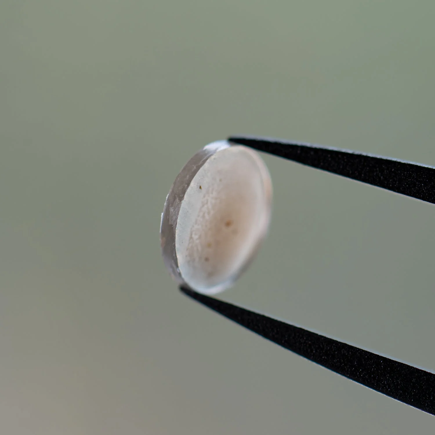 Martian Dust Storm NWA 7397 - Martian Meteorite - Image 9