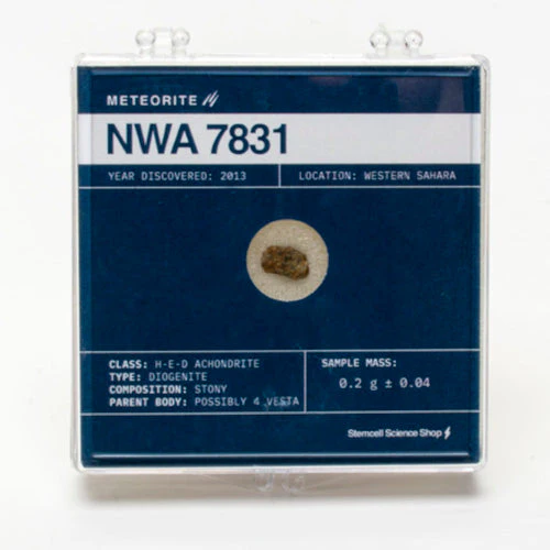 Meteorite NWA 7831 - .2g