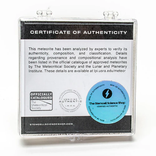 Meteorite NWA 7831 - .2g - Image 2