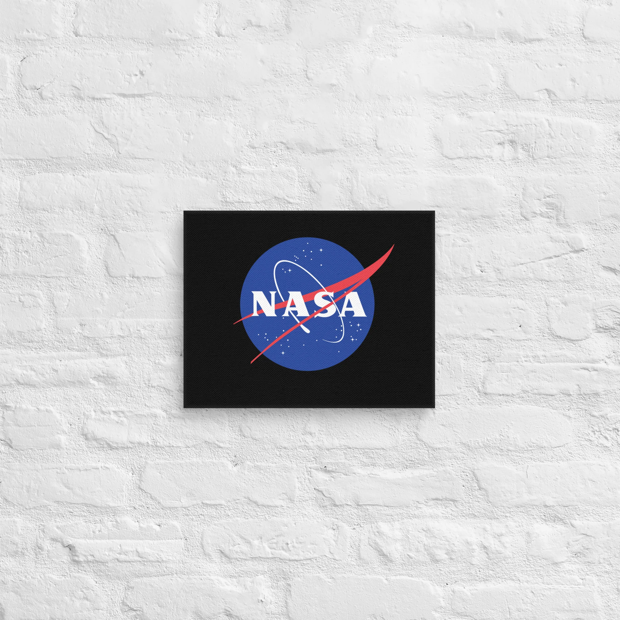 NASA Meatball Logo Canvas