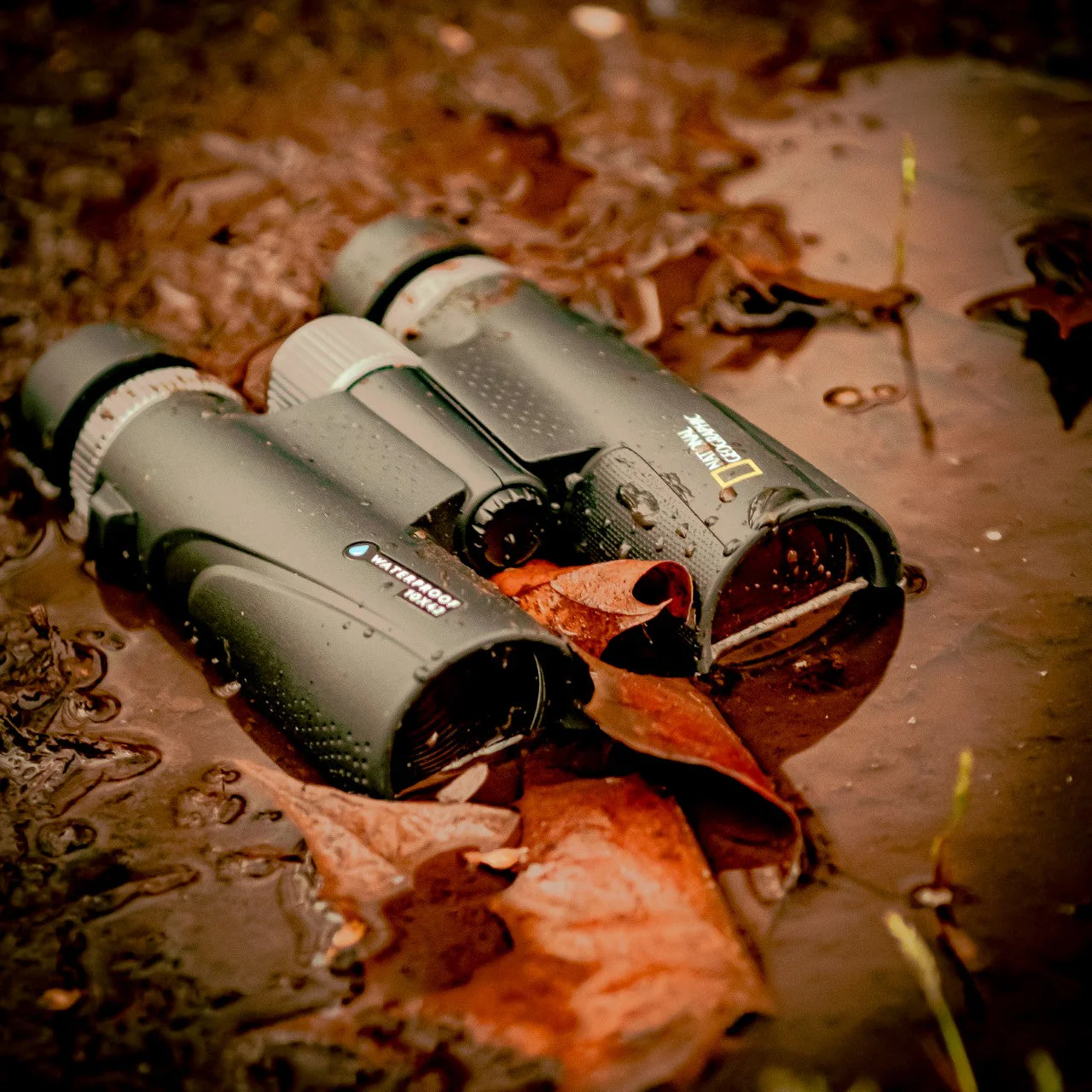 National Geographic 10x42 Waterproof Performance Roof Binoculars and Harness - Image 4