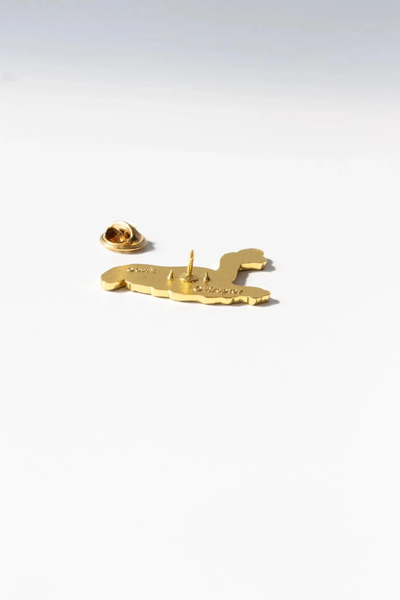 Oviraptor Pin - Image 5