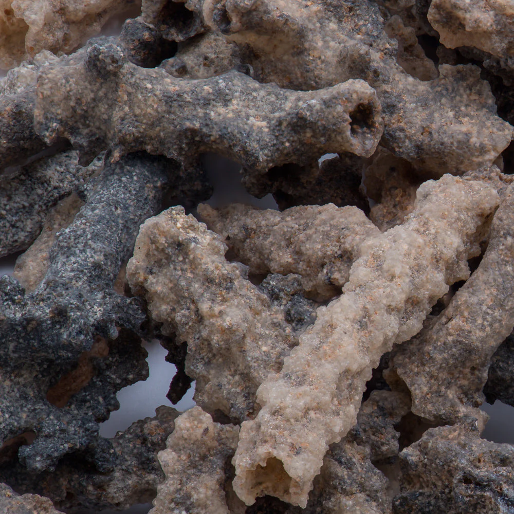 Petrified Lightning - Saharan Fulgurite Riker Box Specimen - Image 2