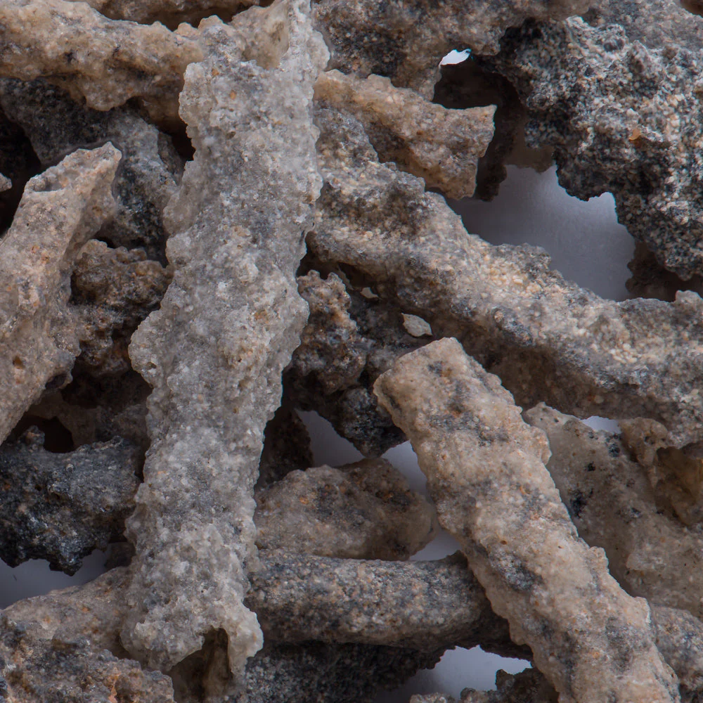 Petrified Lightning - Saharan Fulgurite Riker Box Specimen - Image 3