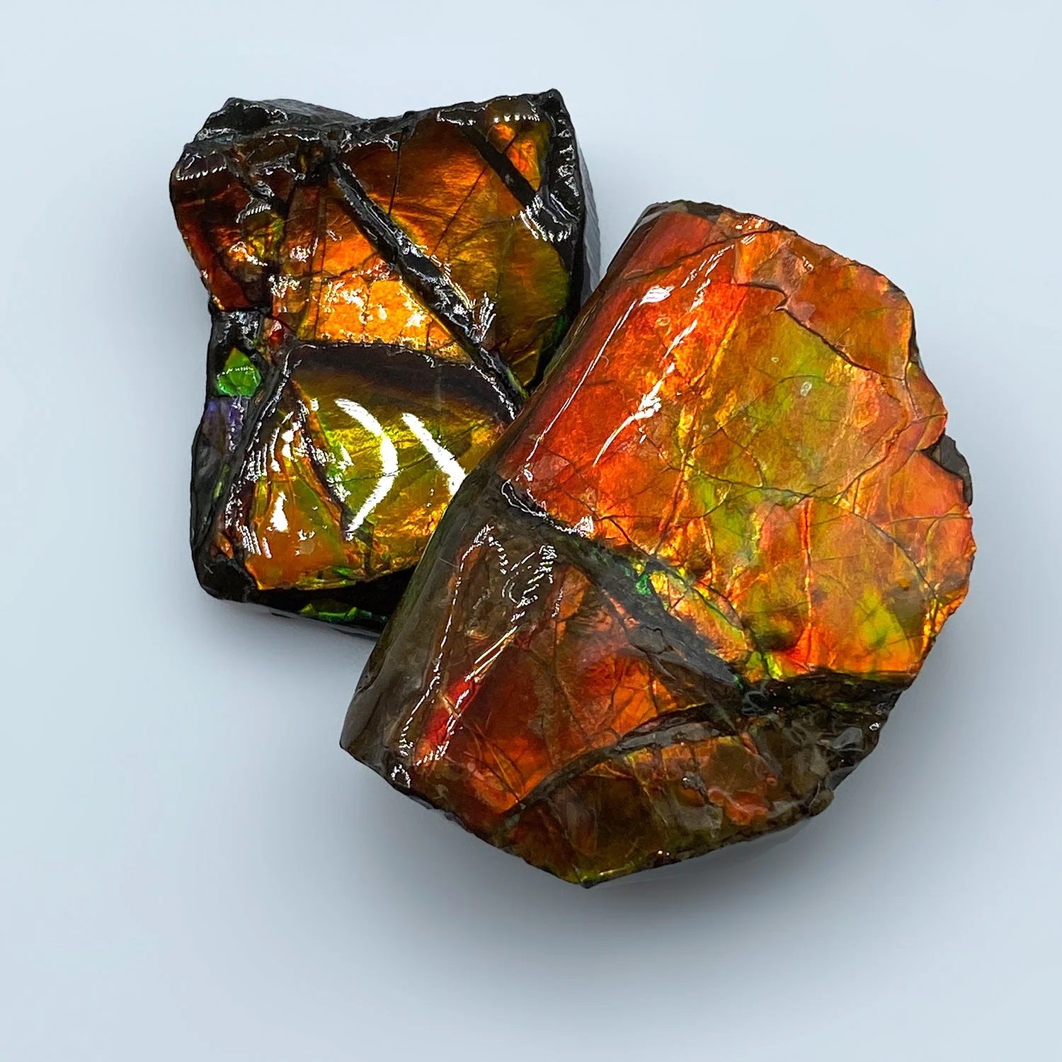 Rainbow Fossil Ammolite - Gem Quality Ammonite Fossil Fragment - Image 10