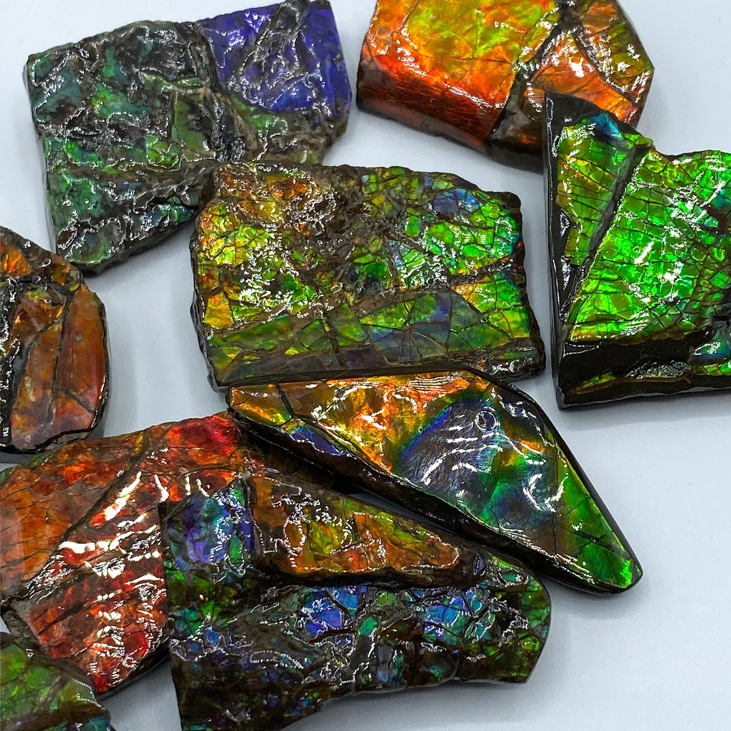 Rainbow Fossil Ammolite - Gem Quality Ammonite Fossil Fragment - Image 13