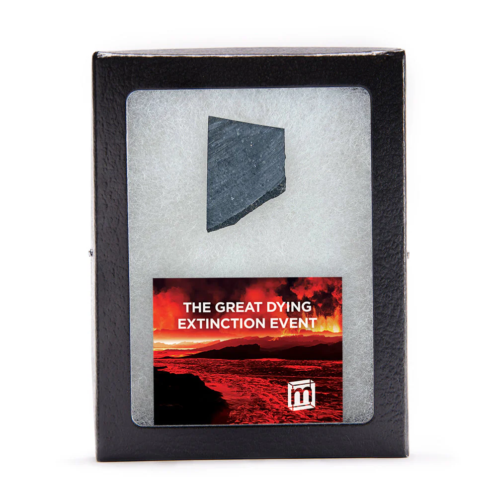 The Great Dying Extinction Event - Siberian Traps Slab - Image 3