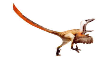 Velociraptor Patch